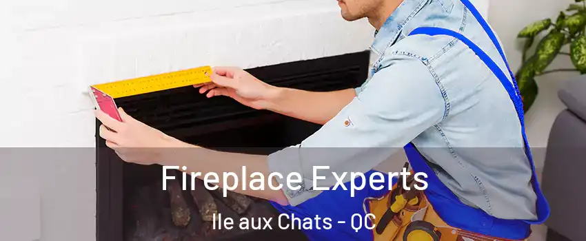  Fireplace Experts lle aux Chats - QC