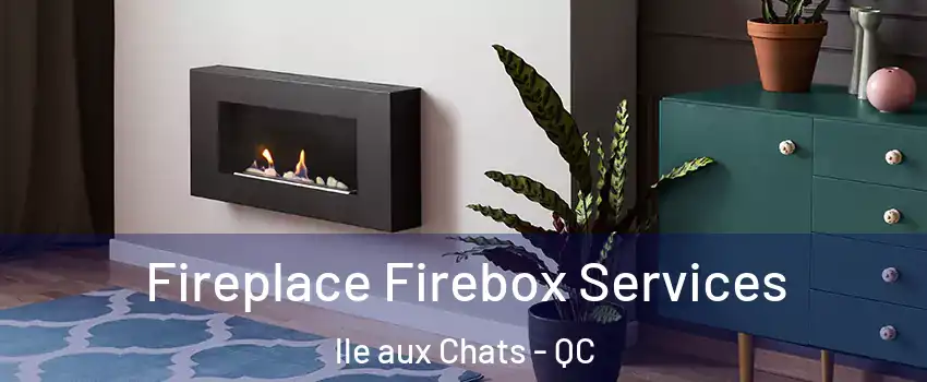  Fireplace Firebox Services lle aux Chats - QC