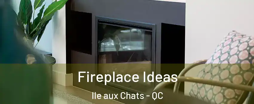  Fireplace Ideas lle aux Chats - QC