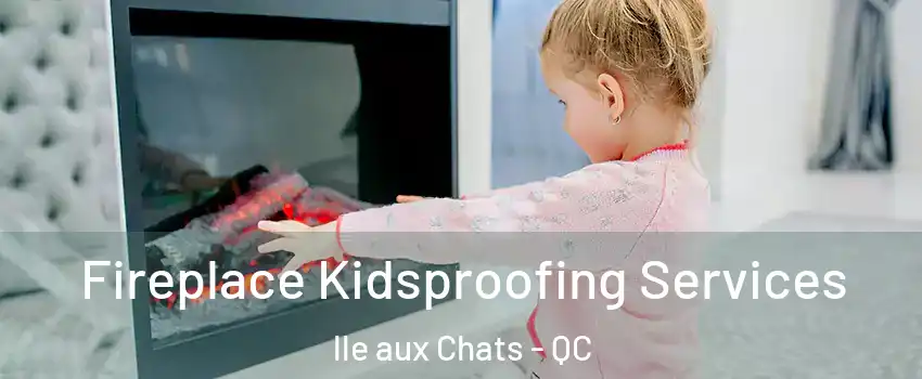  Fireplace Kidsproofing Services lle aux Chats - QC