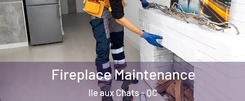  Fireplace Maintenance lle aux Chats - QC