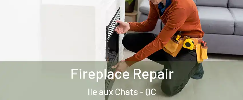  Fireplace Repair lle aux Chats - QC