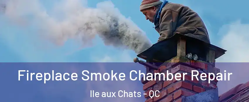  Fireplace Smoke Chamber Repair lle aux Chats - QC