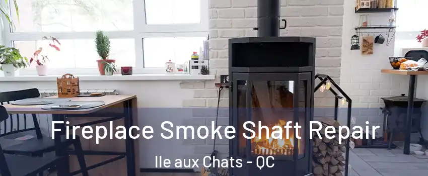  Fireplace Smoke Shaft Repair lle aux Chats - QC
