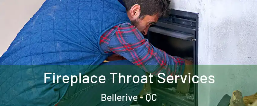  Fireplace Throat Services Bellerive - QC