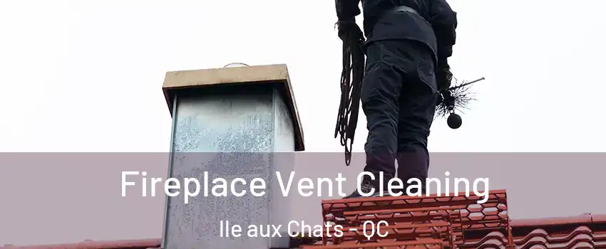  Fireplace Vent Cleaning lle aux Chats - QC