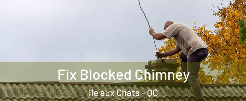  Fix Blocked Chimney lle aux Chats - QC