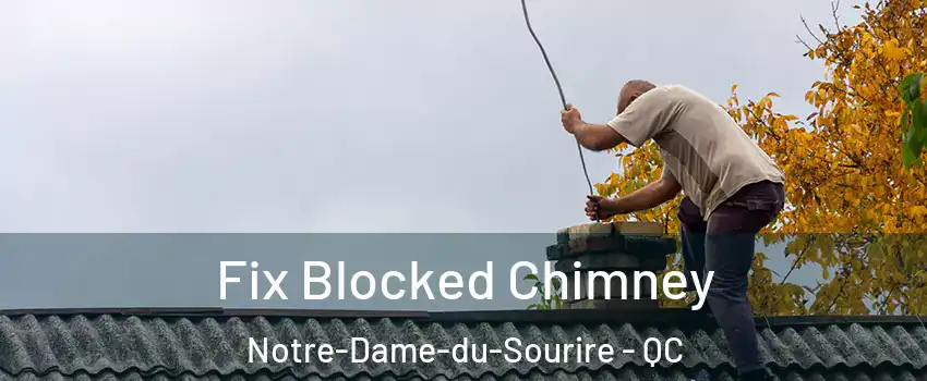  Fix Blocked Chimney Notre-Dame-du-Sourire - QC