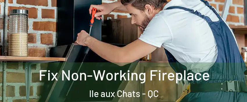  Fix Non-Working Fireplace lle aux Chats - QC