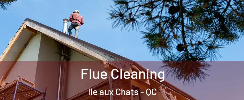  Flue Cleaning lle aux Chats - QC