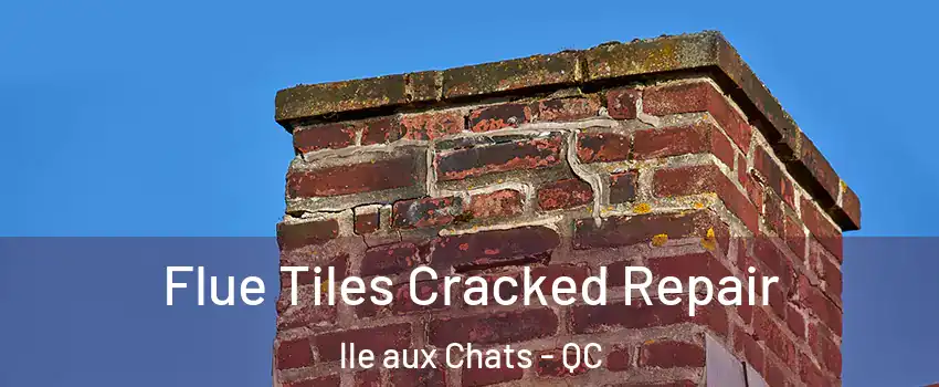  Flue Tiles Cracked Repair lle aux Chats - QC