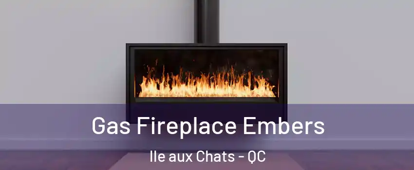  Gas Fireplace Embers lle aux Chats - QC