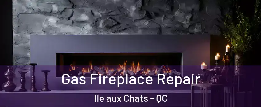  Gas Fireplace Repair lle aux Chats - QC