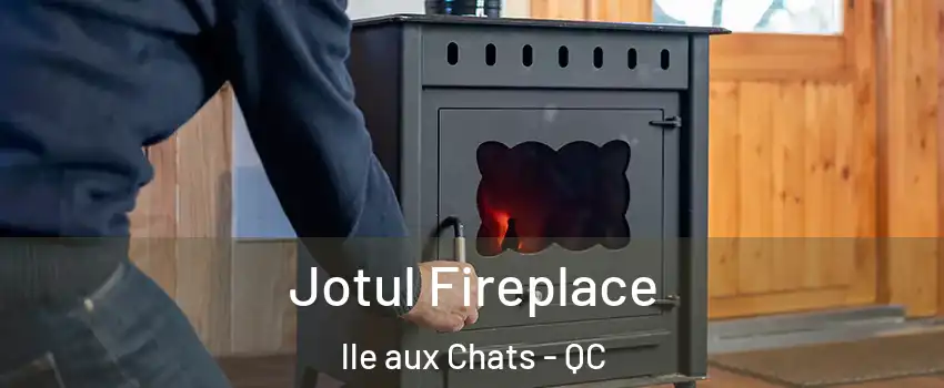  Jotul Fireplace lle aux Chats - QC