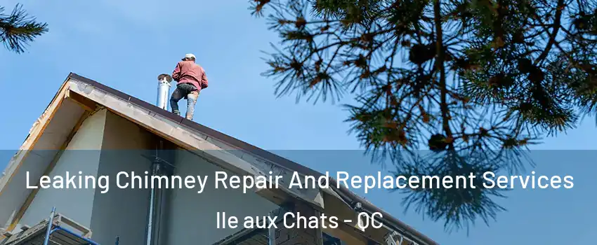  Leaking Chimney Repair And Replacement Services lle aux Chats - QC