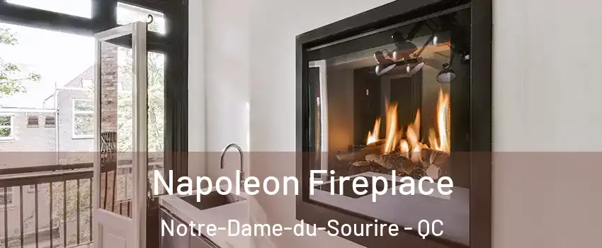 Napoleon Fireplace Notre-Dame-du-Sourire - QC