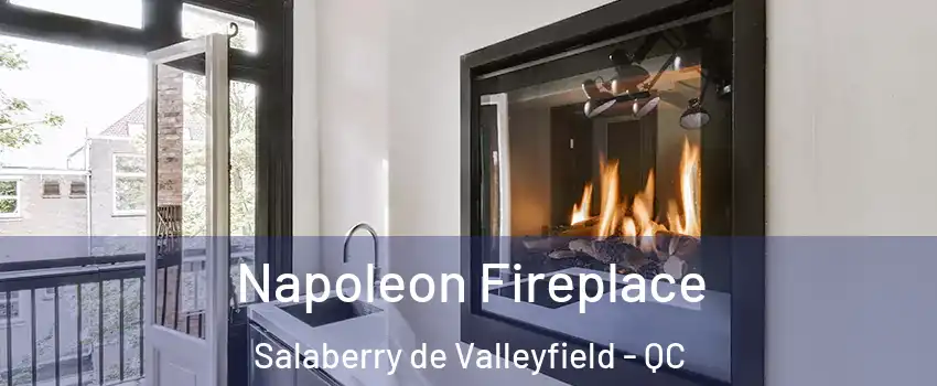  Napoleon Fireplace Salaberry de Valleyfield - QC
