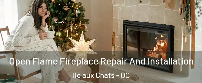  Open Flame Fireplace Repair And Installation lle aux Chats - QC