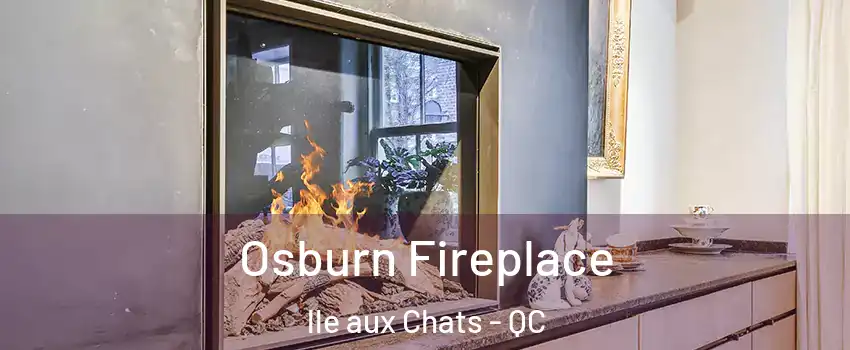  Osburn Fireplace lle aux Chats - QC