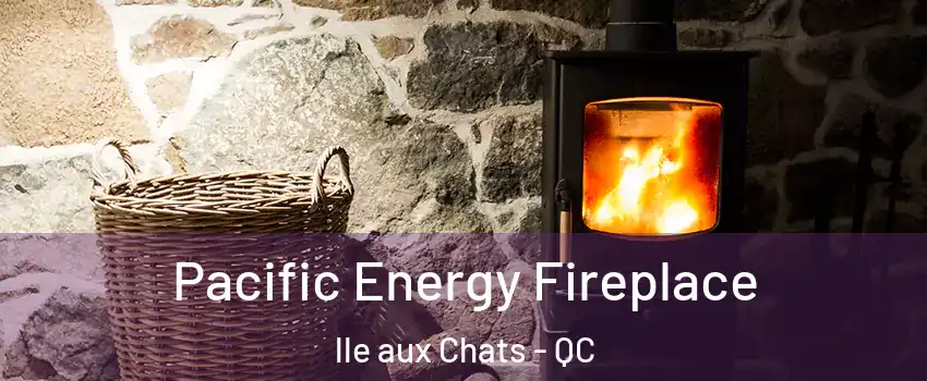  Pacific Energy Fireplace lle aux Chats - QC