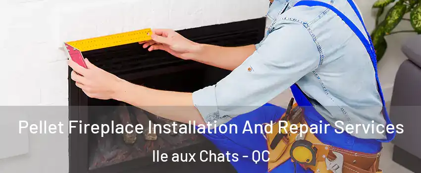  Pellet Fireplace Installation And Repair Services lle aux Chats - QC