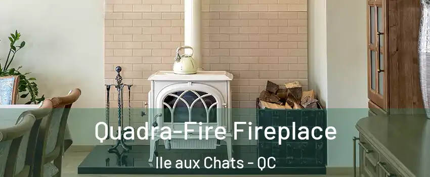  Quadra-Fire Fireplace lle aux Chats - QC