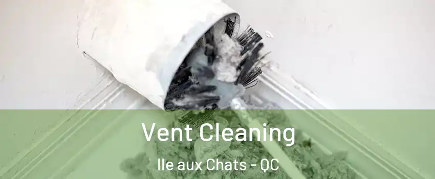  Vent Cleaning lle aux Chats - QC