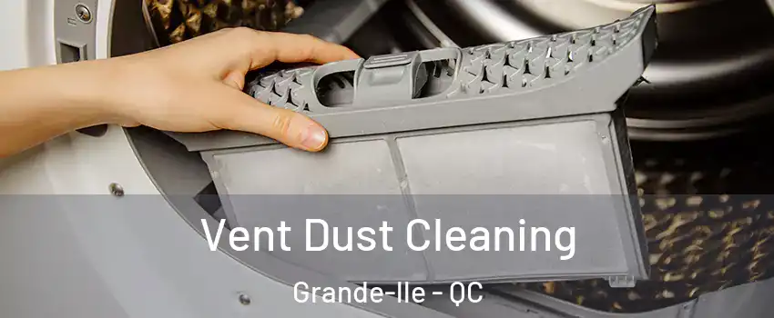  Vent Dust Cleaning Grande-lle - QC
